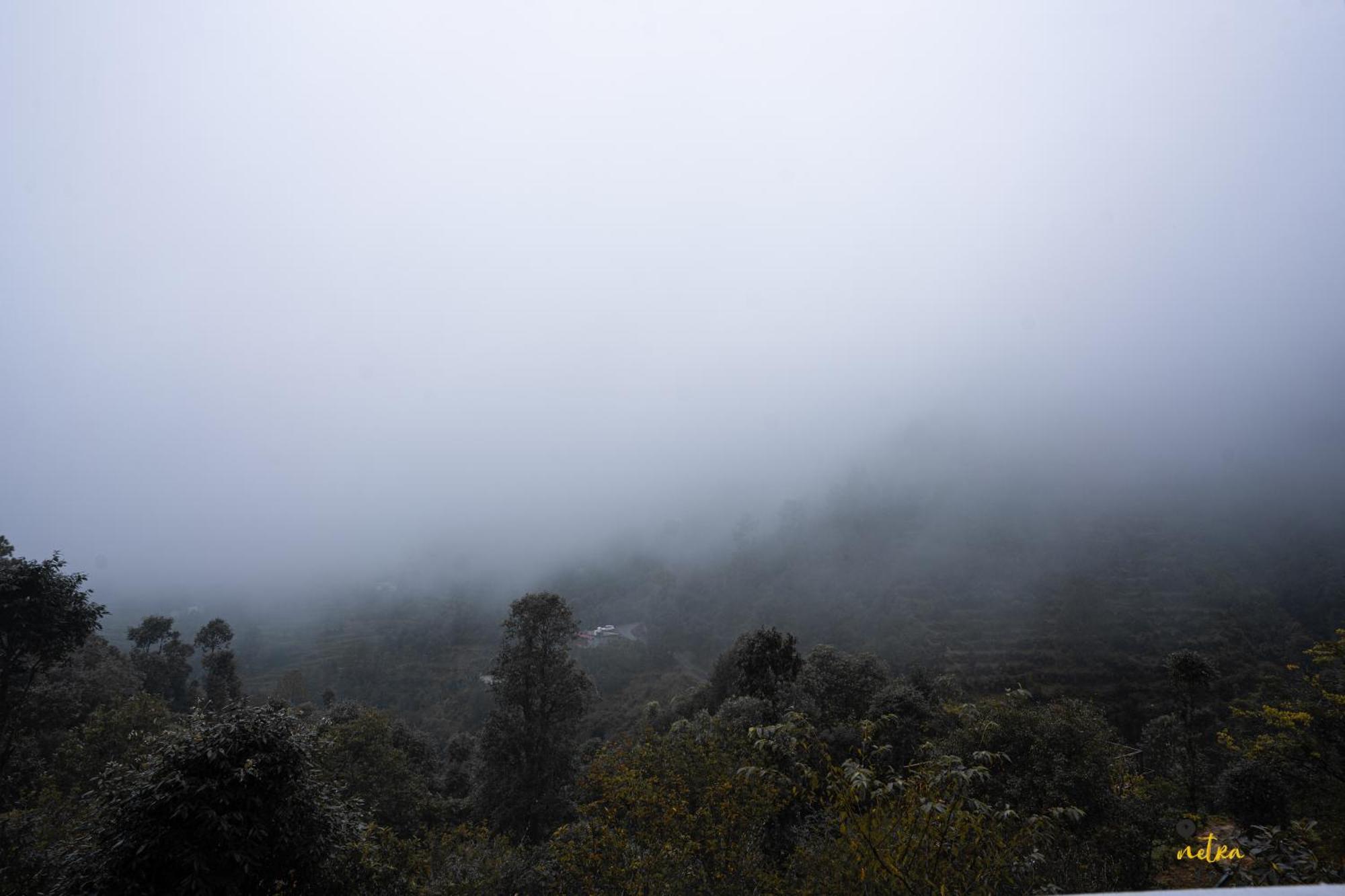 The Rare One'S Mukteshwar - Resort & Cafe Екстериор снимка